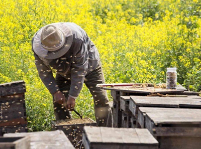 云南省蜂业协会入选中国农技协2023年“百强农技协”